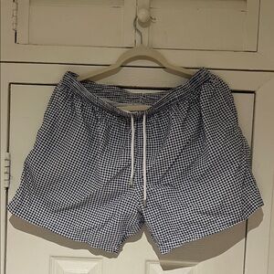 Blue and White Swim Shorts